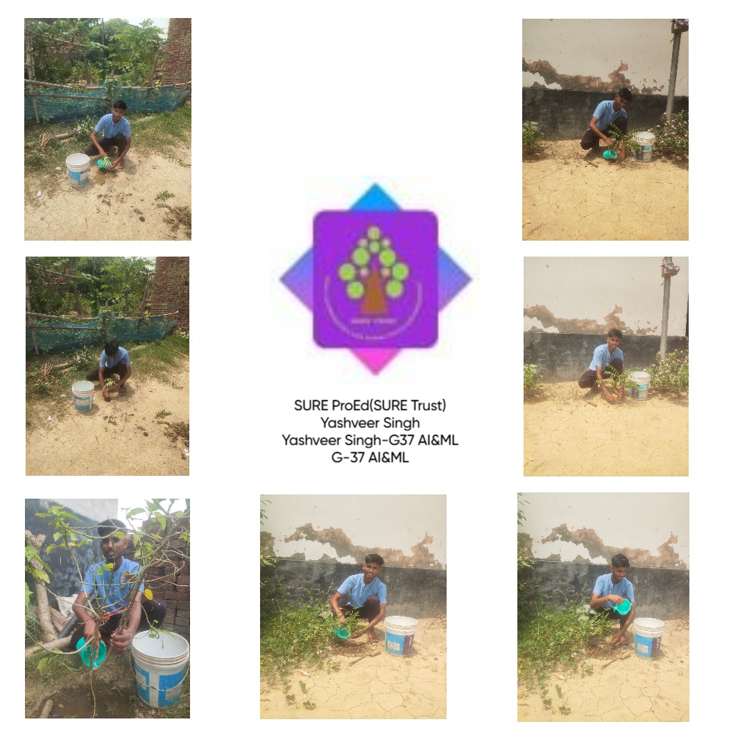 YASHVEER SINGH