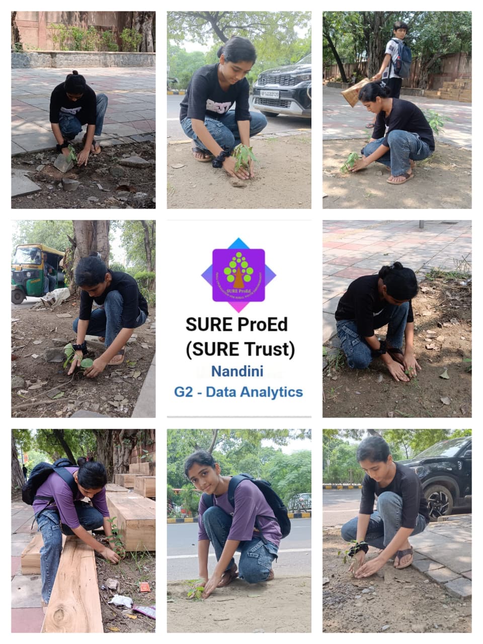 NANDINI