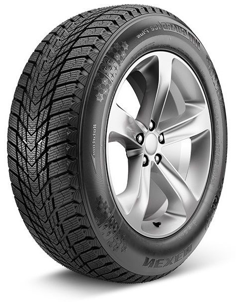 Roadstone WinGuard ice Plus WH43 205/55 R16 91T