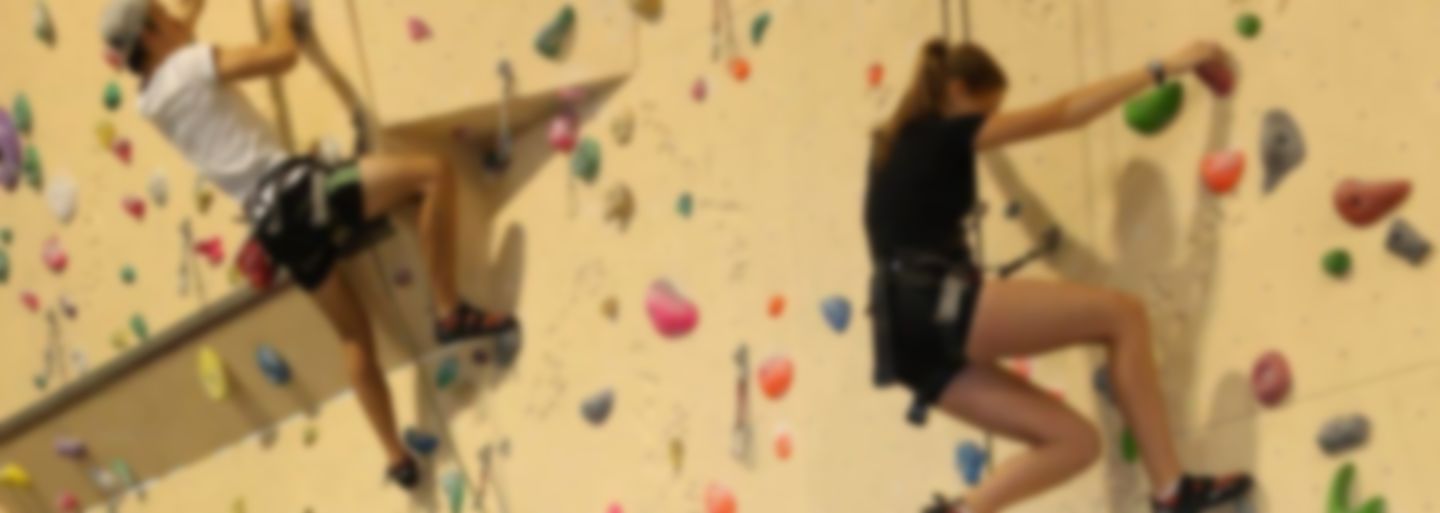 Introductory climbing course II