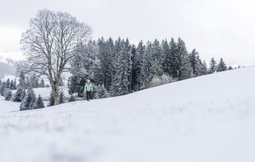 On the Alpine Panorama Trail through Eastern Switzerland - Nature Wellness & SPA