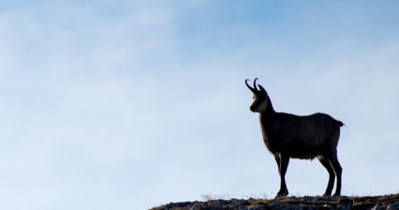 Frühlingserwachen im Nationalpark