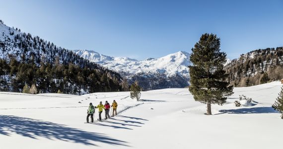 Geführte Schneeschuhwanderung für Einsteiger (Halbtagestour)