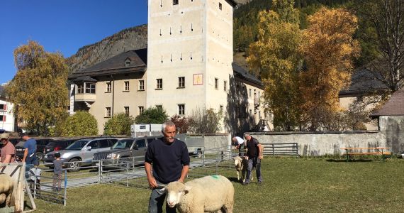 Südbündner Vieh- und Warenmarkt