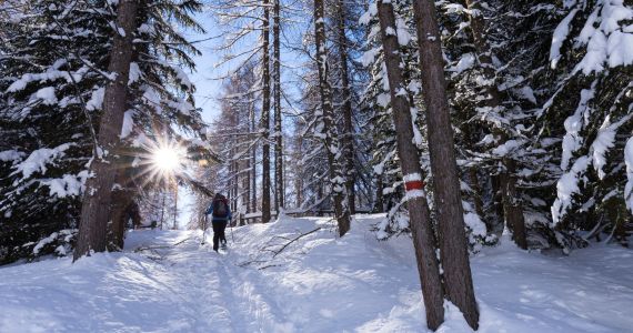 Geführte Schneeschuhwanderung für Kinder ab 8 Jahren