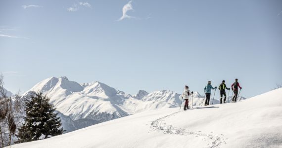 Geführte Schneeschuhwanderung für Fortgeschrittene (Tagestour)