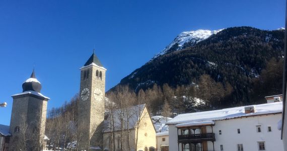 Predgia refuormada