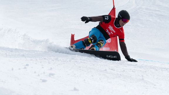 Schweizermeisterschaften Snowboard alpin, Riesenslalom
