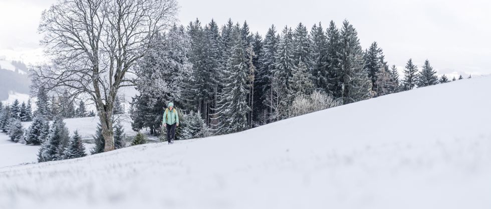 Alpenpanoramaweg Appenzell