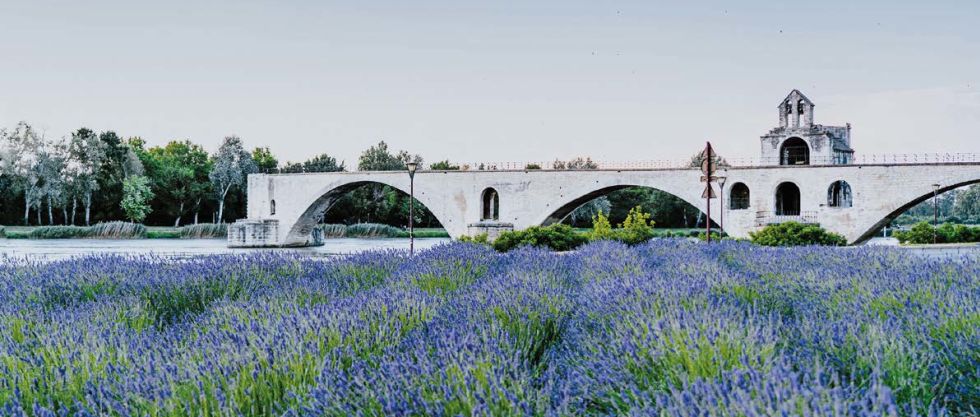 Pont d'Avignon