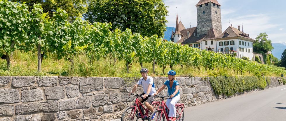 cycling in Spiez