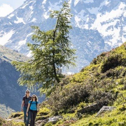 Wandergenuss in Davos Klosters