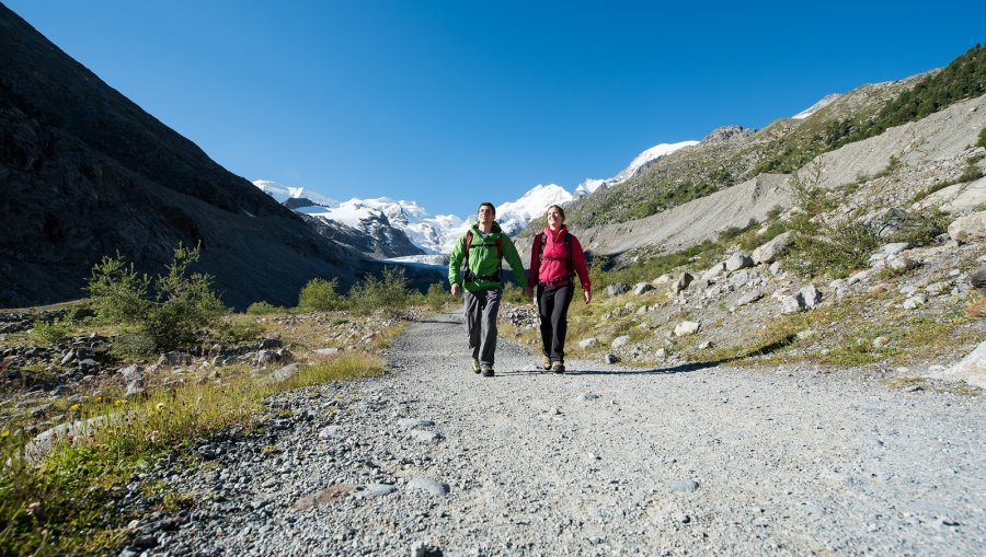 Baston Trekking Glacier Eva - Límite Sur