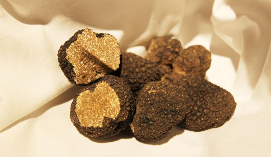 Der oder die Trüffel?