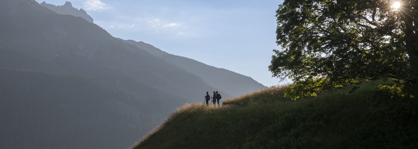 Einfach besser fotografieren