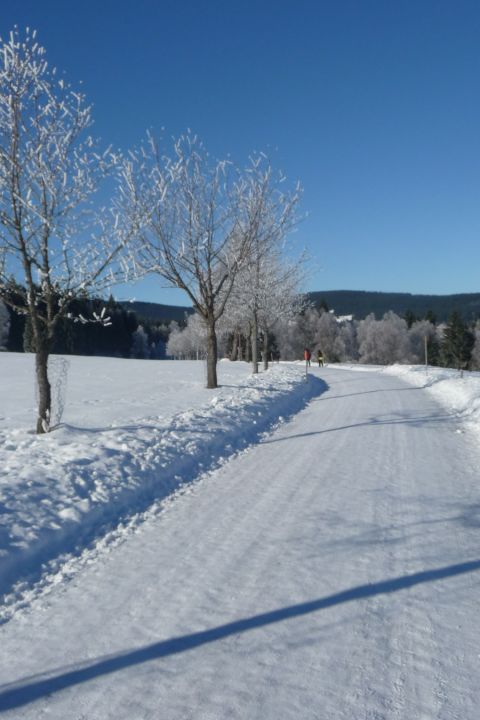 New Year's Eve offer at the Alpenblick Organic & Wellness Hotel, Höchenschwand (GER)