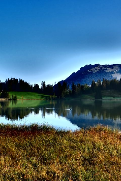 HEV - Alpine Echtheit in Lauenen