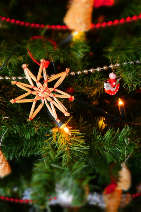 Christmas magic - bora HotSpaResort, Radolfzell (GER)