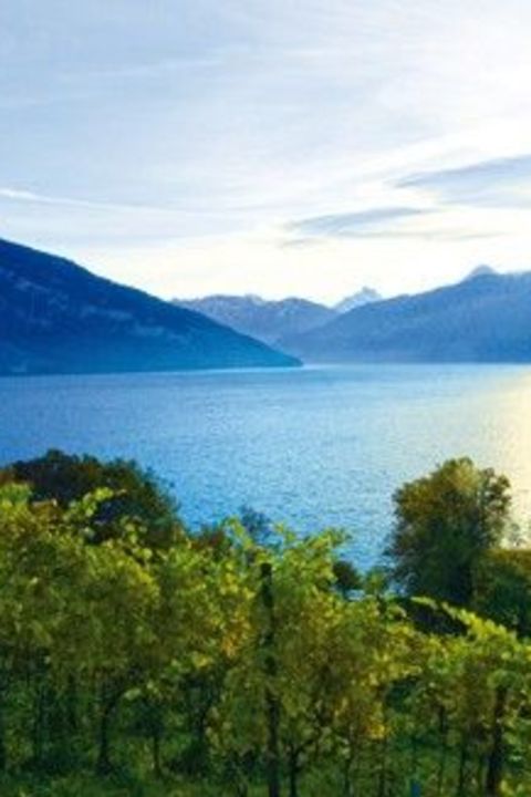 Spring Awakening 4-for-3 – Hotel Eden Spiez