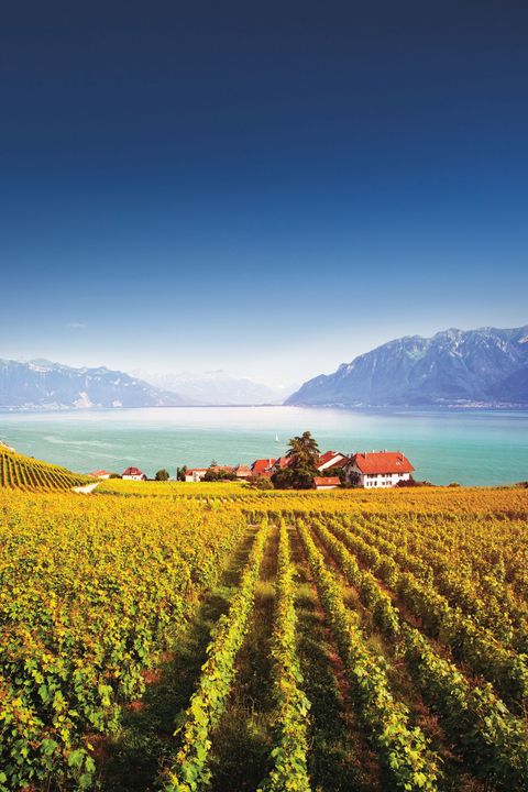 (E-)Biketour Westschweiz - vom Wallis an den Genfersee