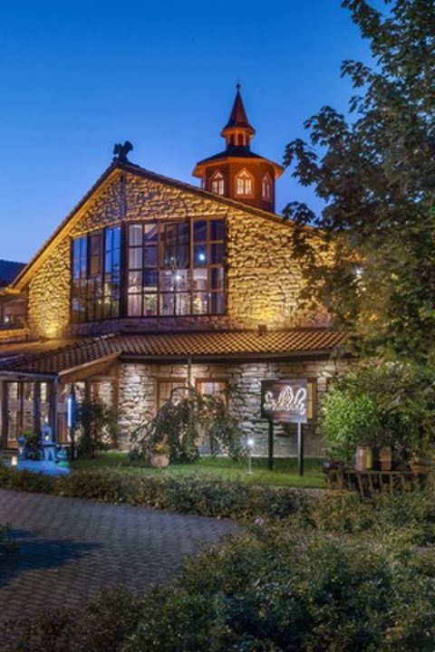 Wellnessurlaub "Waldruhe-Silvester" - Wellnesshotel Seeschloesschen - Senftenberg, Brandenburg (DE)