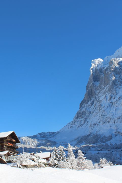 Carte Blanche - Atemberaubende Sicht auf den Eiger!