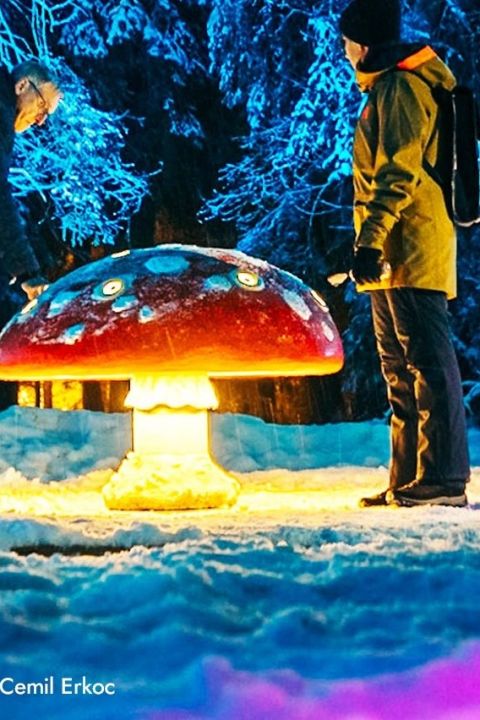 Lichterzauberpauschale - Hotel Hof Weissbad - Appenzell