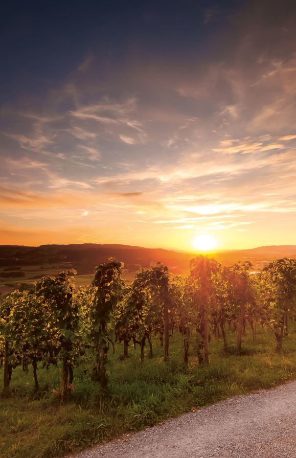 #Nachhaltigkeit im Hotel: Wellnesshotel Golf Panorama