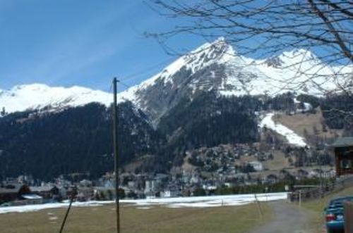 Duchliranch - Hoffmann