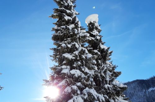 Chalet Bialaura 4.5-Zi