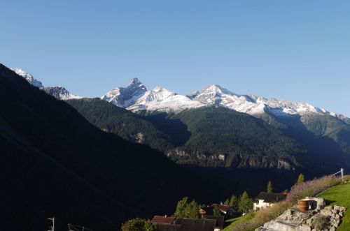 Tinzenblick 1