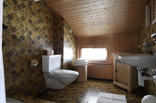 Alte Landstrasse 16 (Wolf)