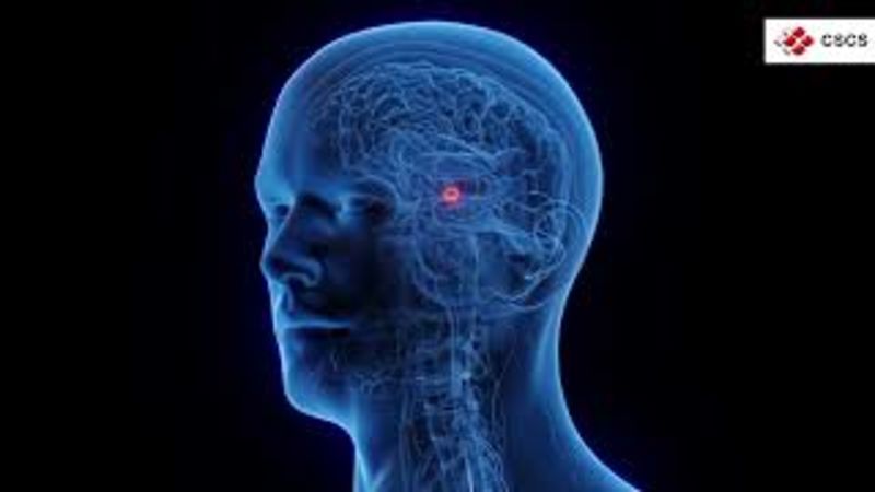 Scientists investigate the power of tiny bubbles