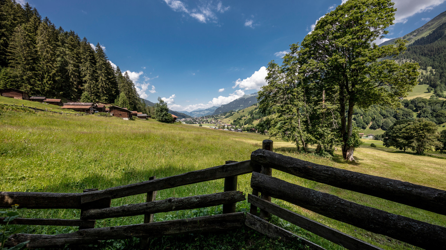 Blick auf die Mälcheti, 2018 (Bild Destination Davos Klosters, Andrea Badrutt).