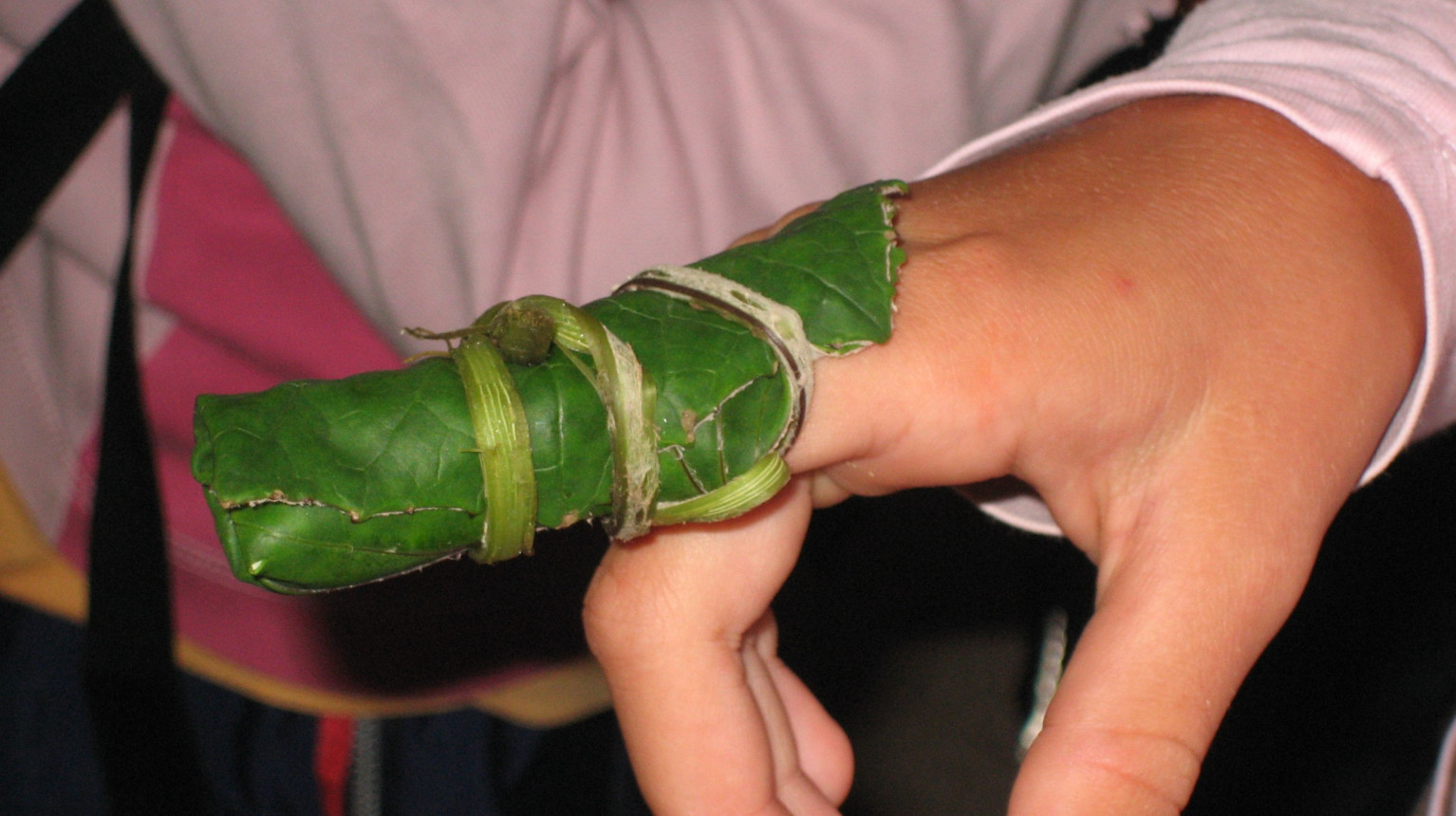 Coltsfoot Finger bandage