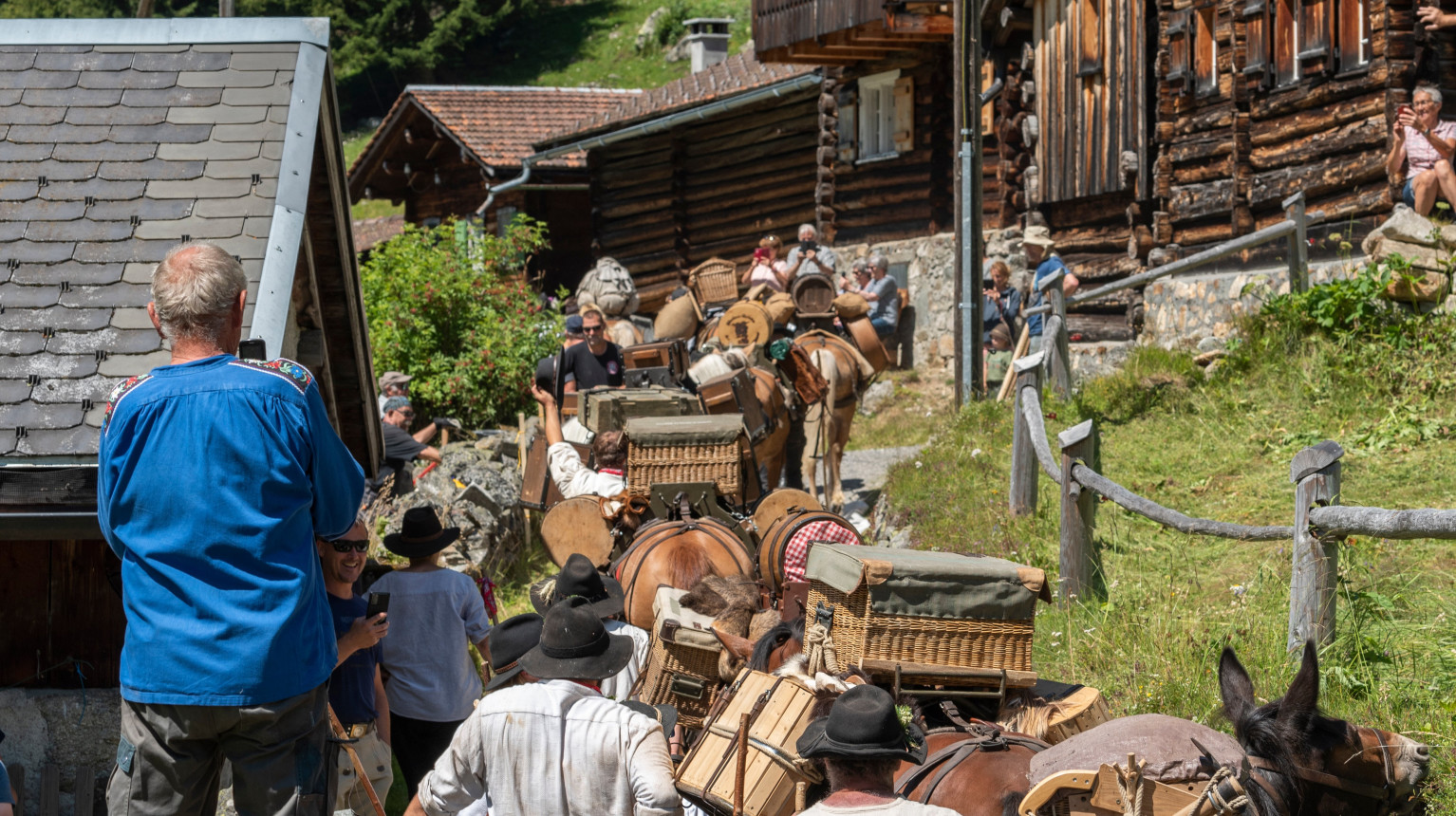 The "Via Valtellina" packhorse on its way down from the Schlappiner Joch (photo Hitsch Rogantini, 16 July 2022).