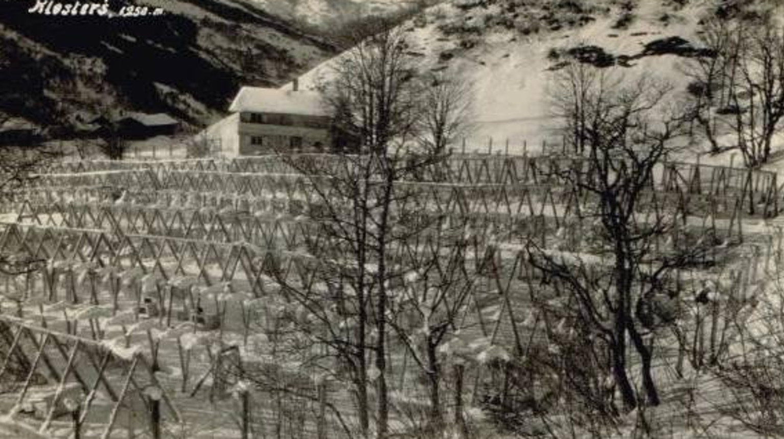 A postcard that cannot be bought in this form anymore: The silver fox farm in Klosters (at free disposal, 1928).