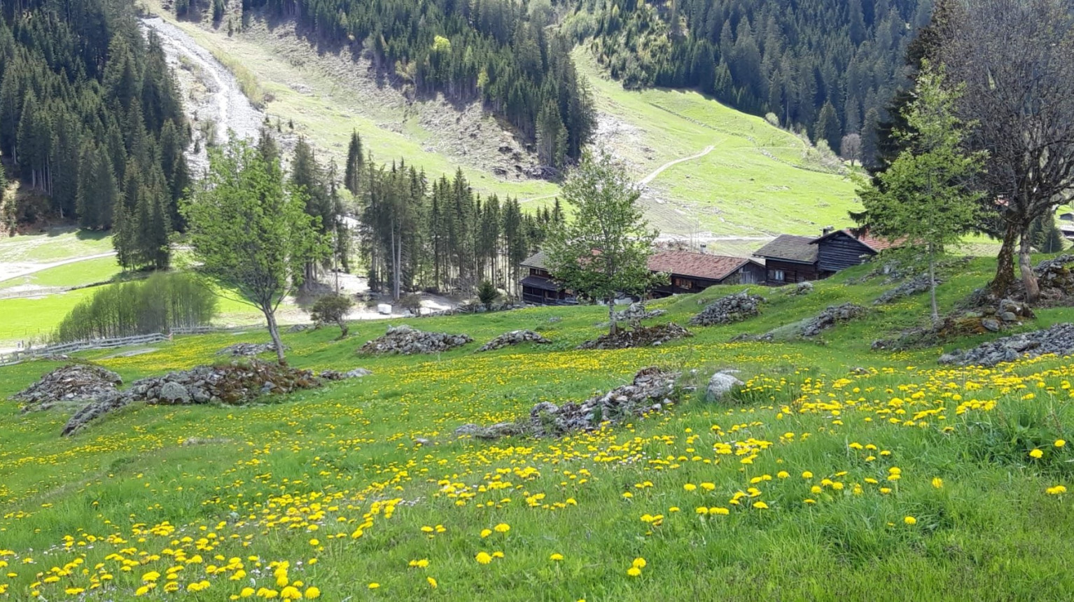 The various stone piles just behind Monbiel towards Sagenbord are silent witnesses of the Röngg era in the municipality of Klosters (photo Peter Guler).