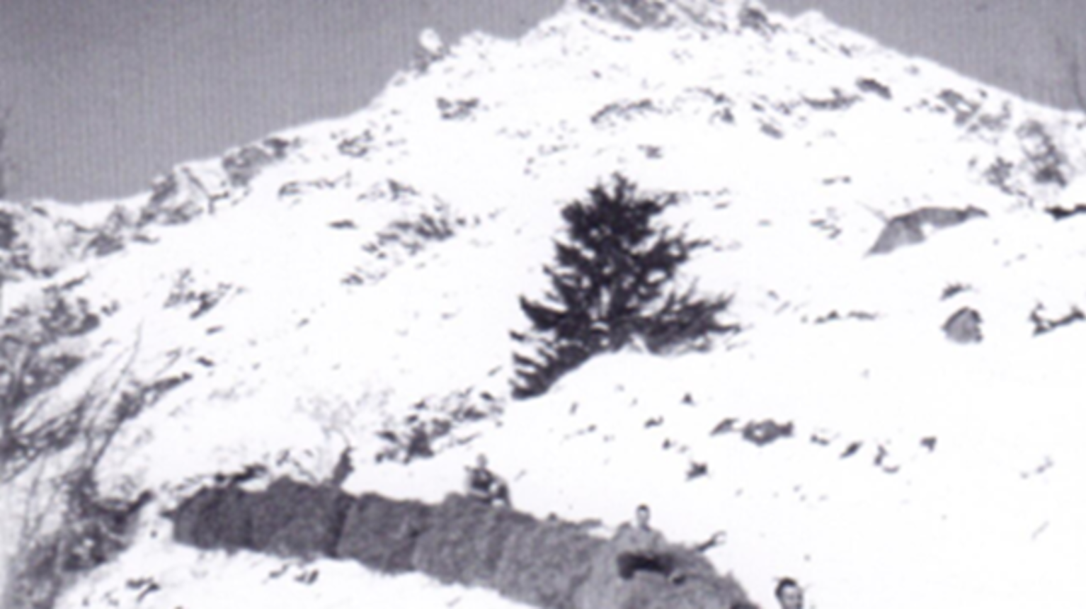 This picture from a hay transport in Seetal illustrates how the hay was brought down (at free disposal).