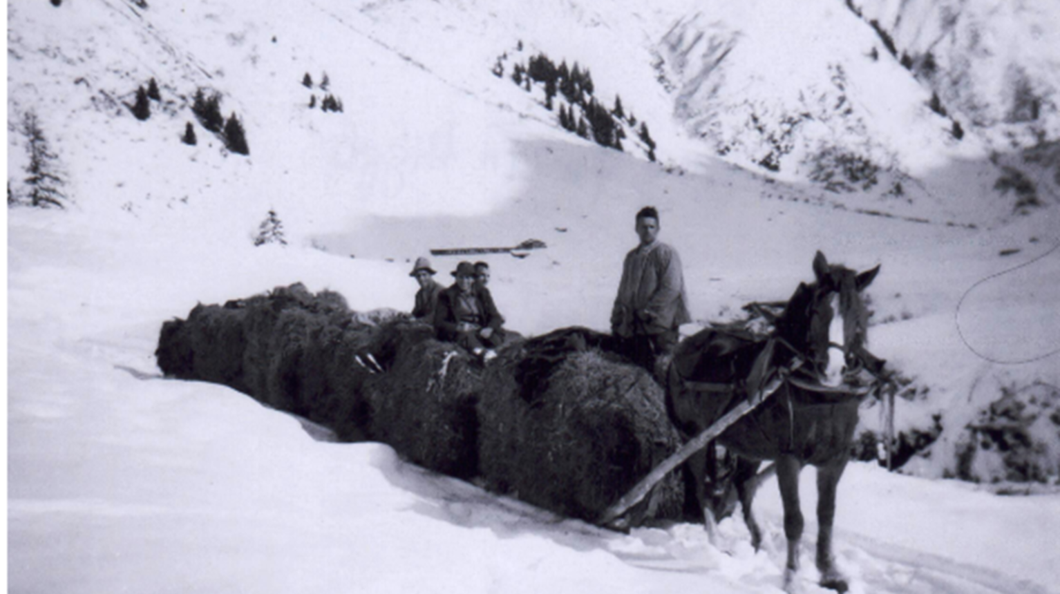 Once arrived in flatter areas, the hay was pulled to the village by horsepower. On the photo is Thomas Niggli from Monbiel in 1955 (at free disposal).