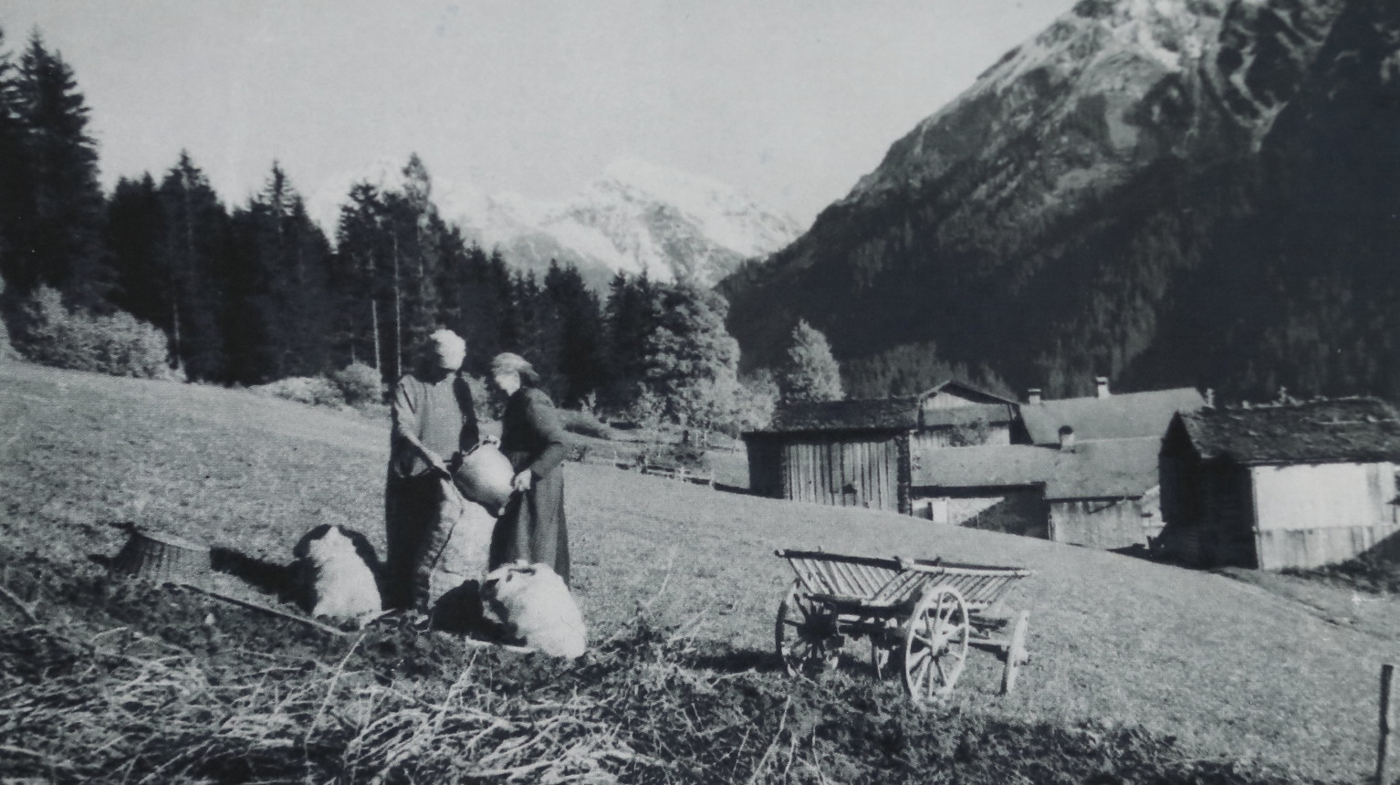 Field work next to Monbiel. Two women pack the harvested potatoes (“Härdöpfel”) into jute sacks and prepare them for transport by handcart (undated photo, at free disposal).