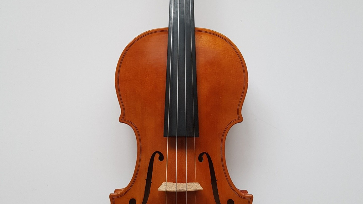 Violine with a soundboard made of spruce wood from Grisons (photo Nathania Goh, Australia).