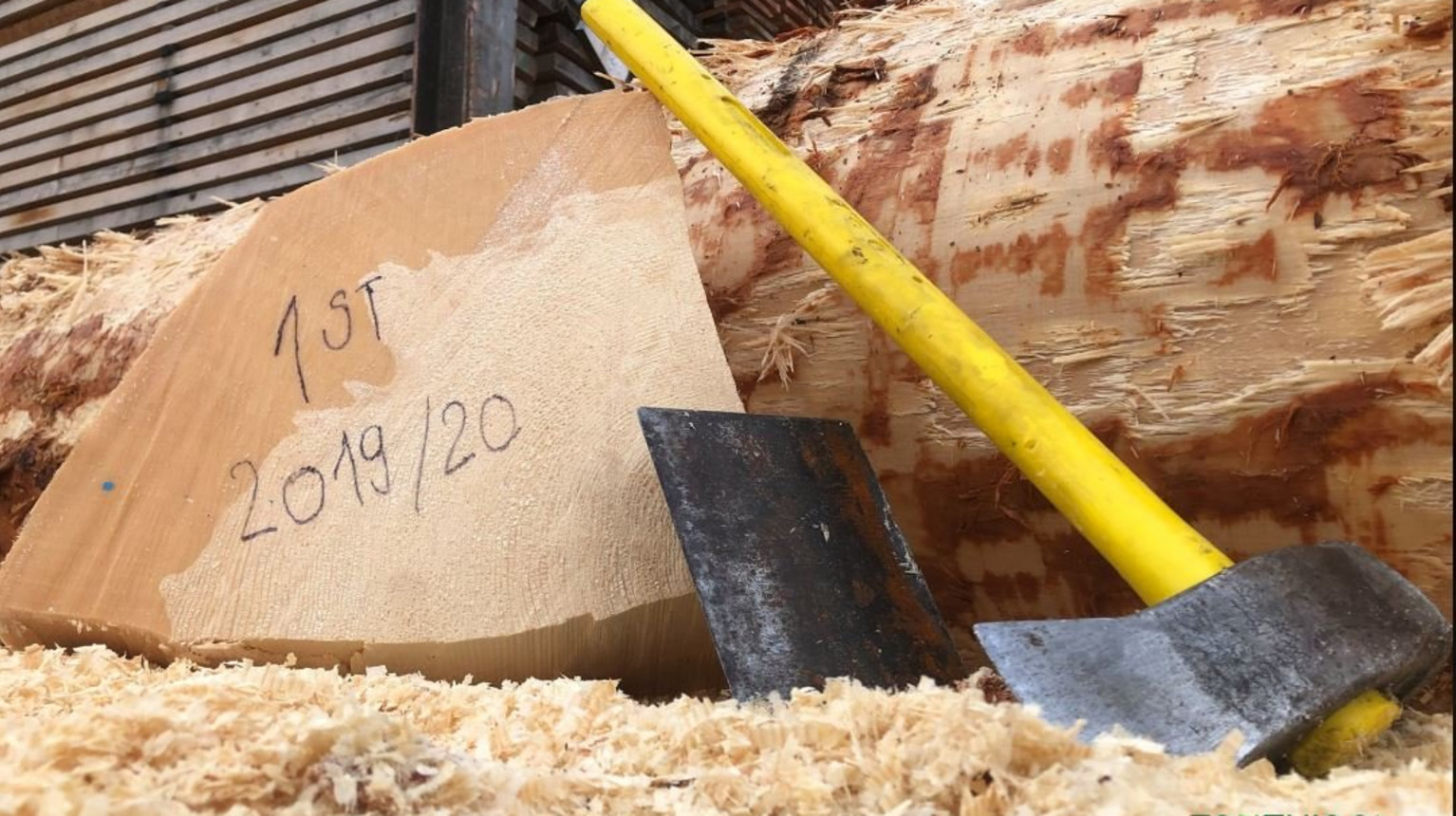 A piece of wood on its way of becoming a violine. The wood is first sawn into shorter pieces and then split by hand (photo Florinett Ltd.).