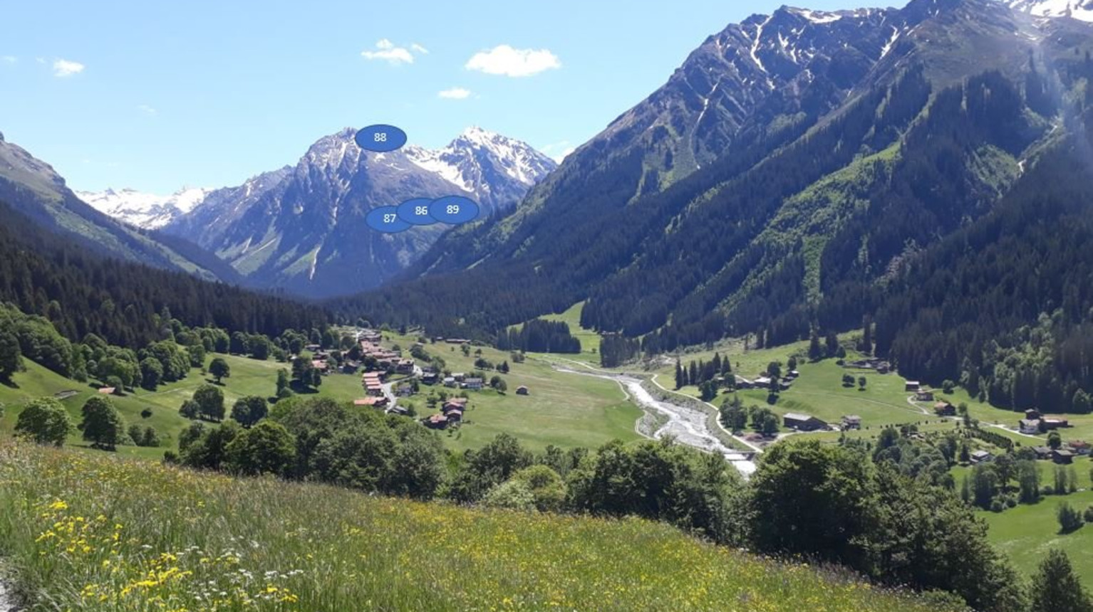 Whereas cattle meadows were auctioned off, the free pastures were reserved for the poorer farming families.