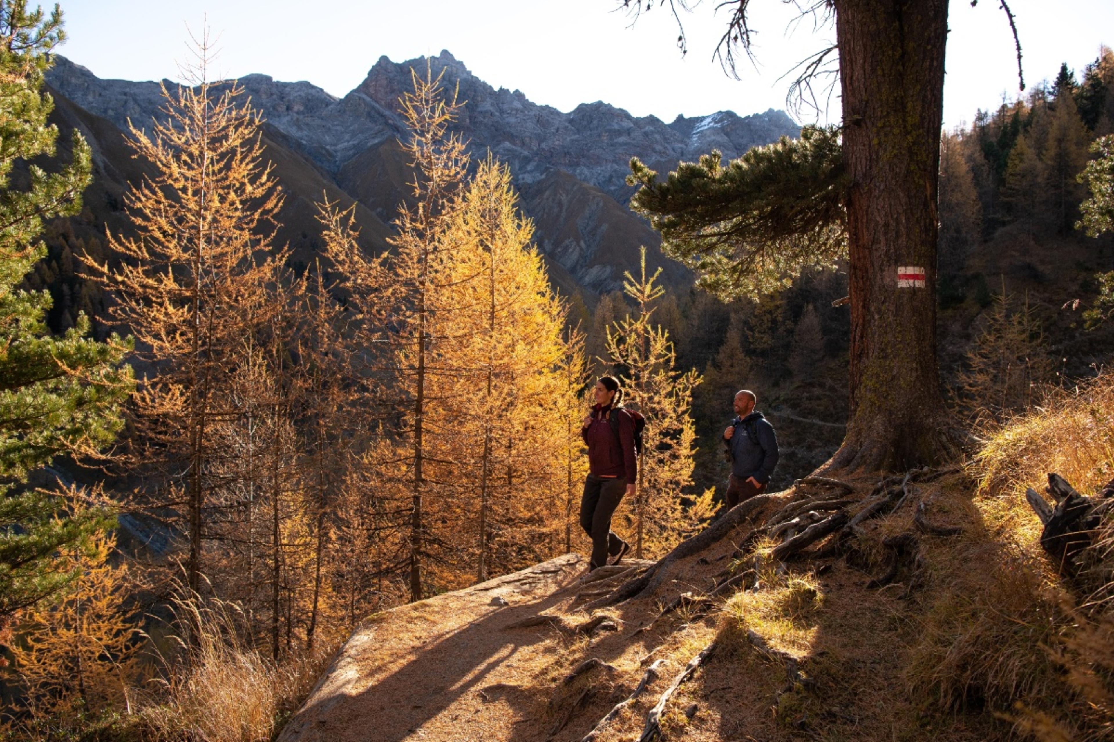 Escursione ad anello Val Trupchun nel Parco Nazionale Svizzero
