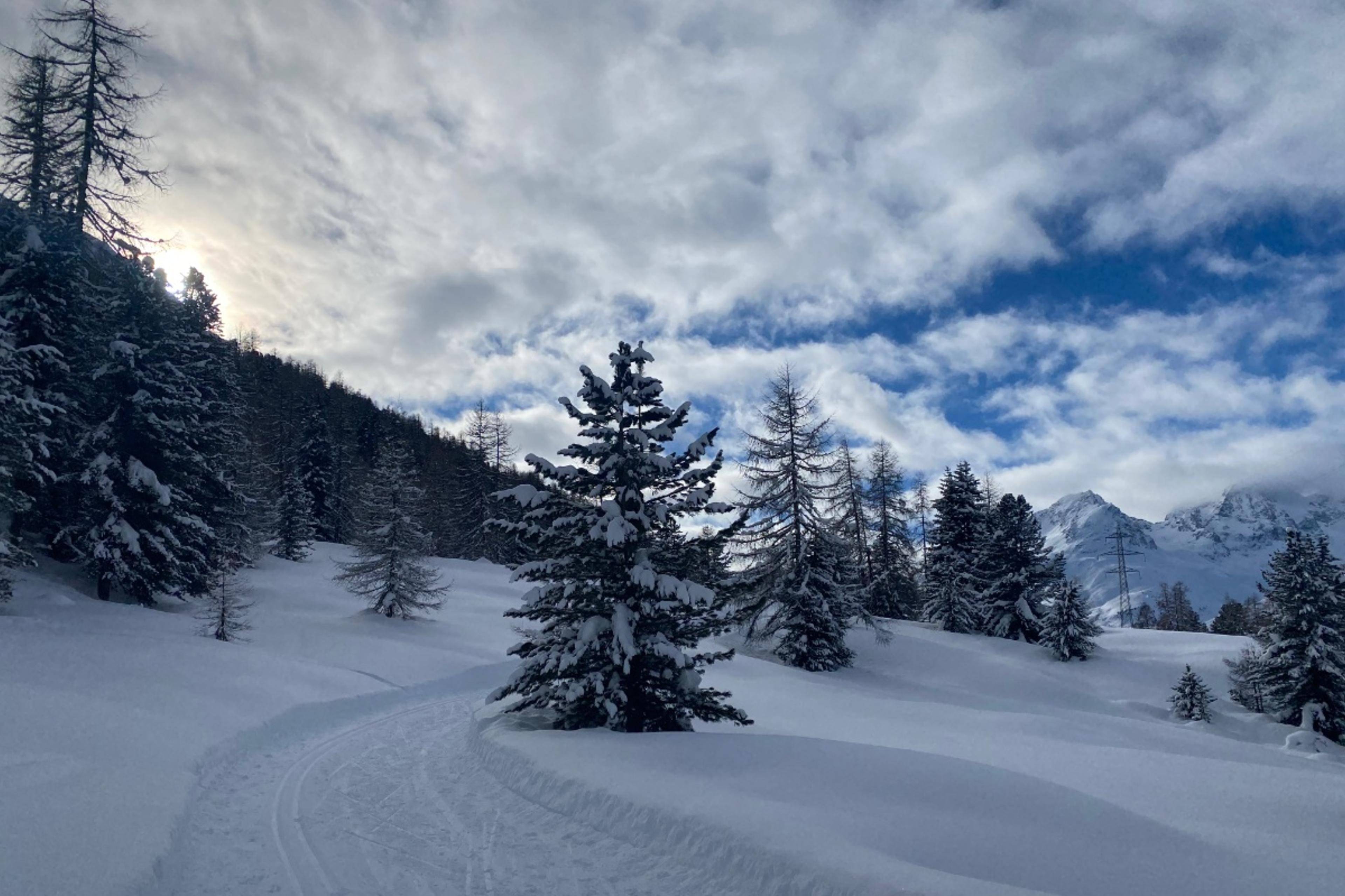 Alp Staz