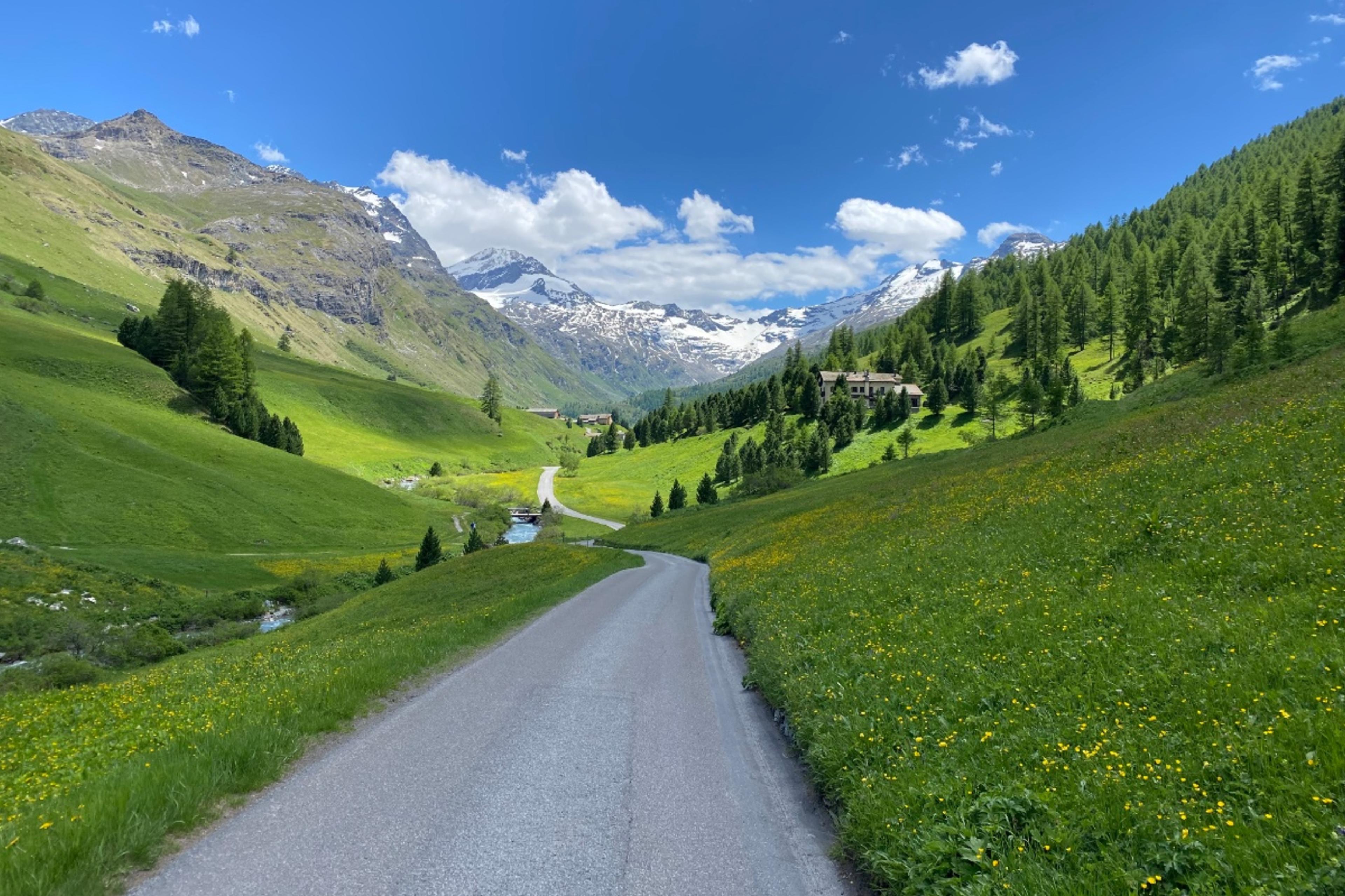 Sils - Val Fex - Plaun Vadret - Sils