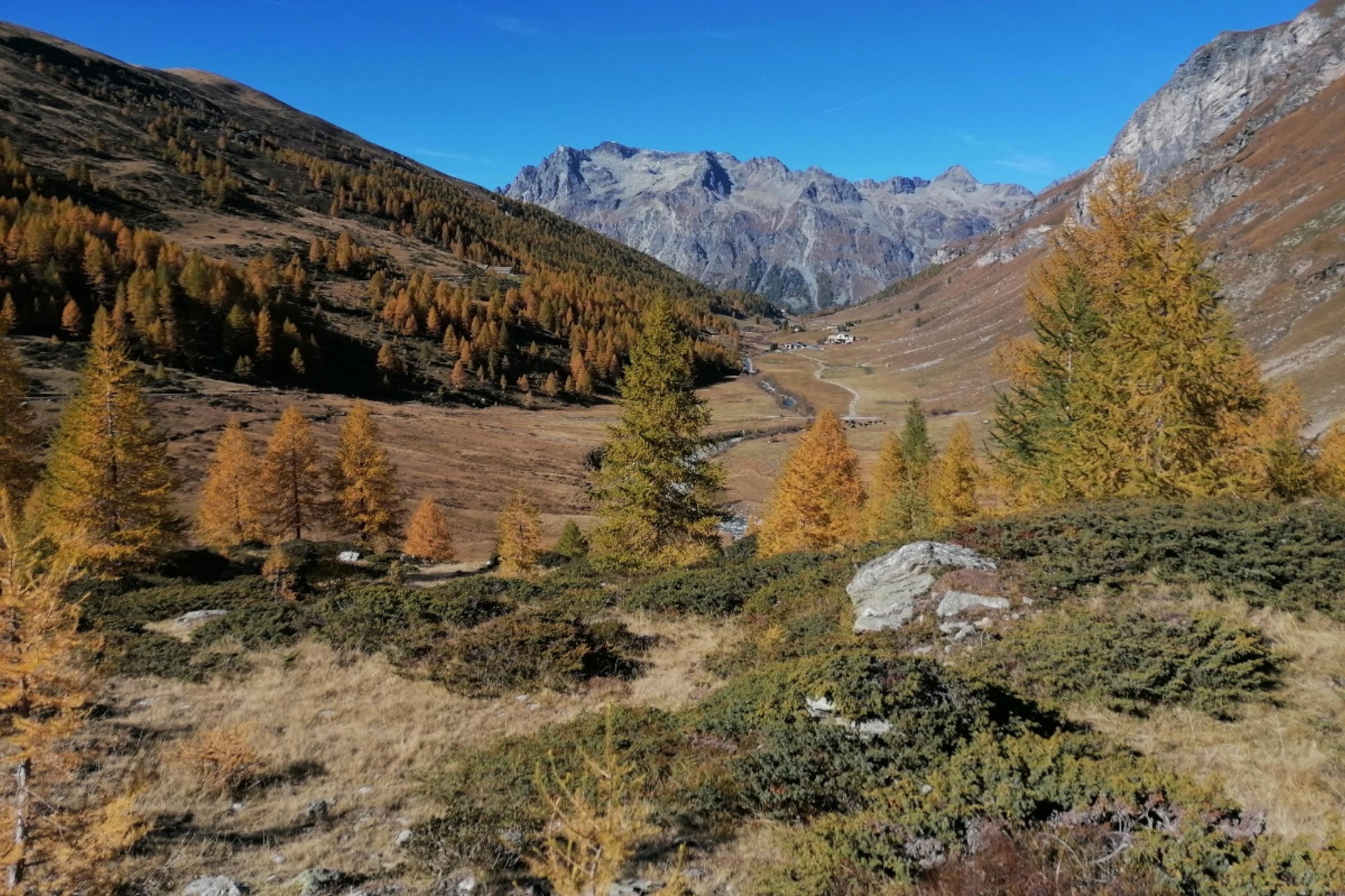 Sils-Val Fex-Plaun Vadret - Sils (E-Mountainbike)