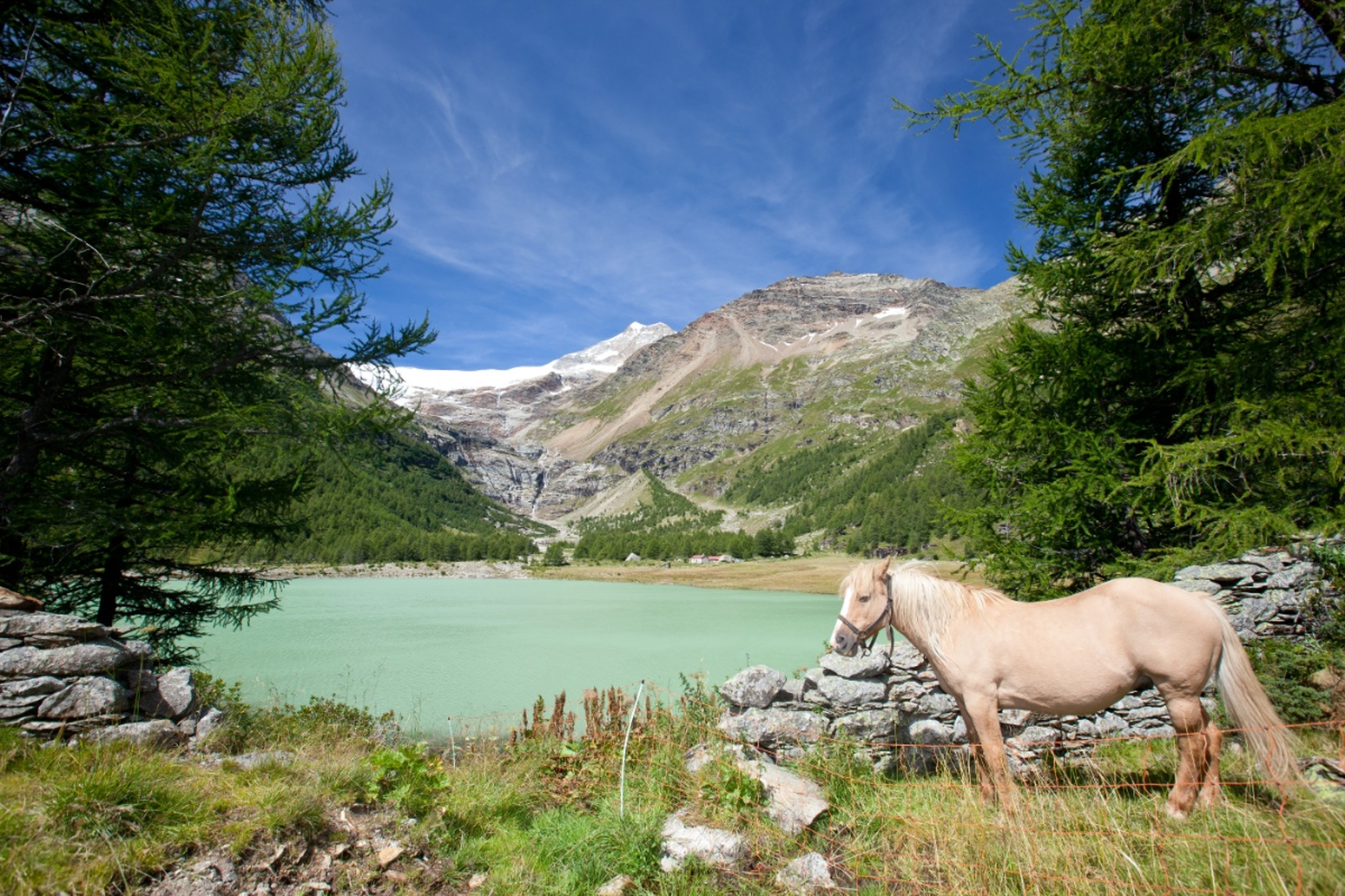 Alp Grüm - Cavaglia (Via Palü)