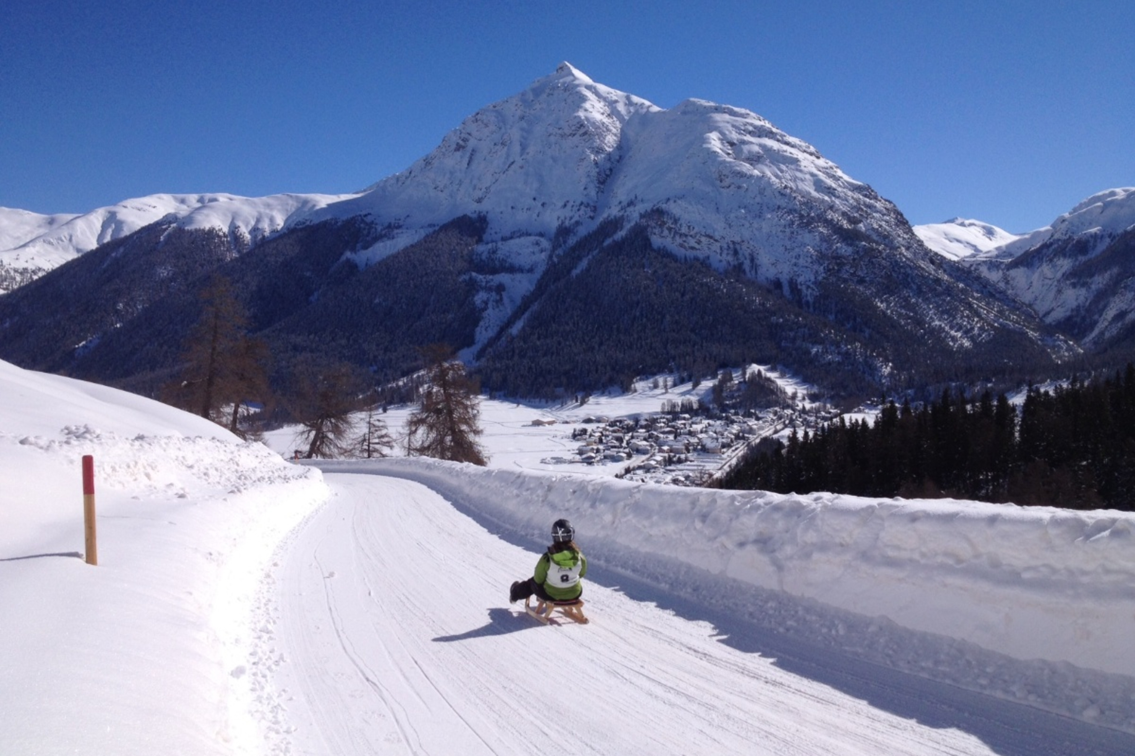 Toboggan run Alp Proliebas over lower barrier to Alvra Sur